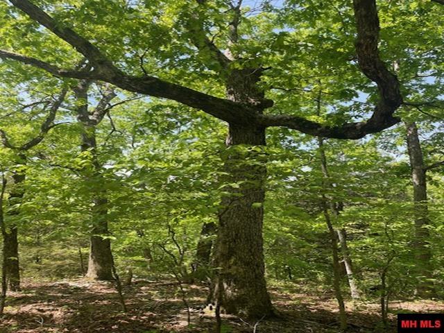 001-05060-008 Zone Ridge Lane