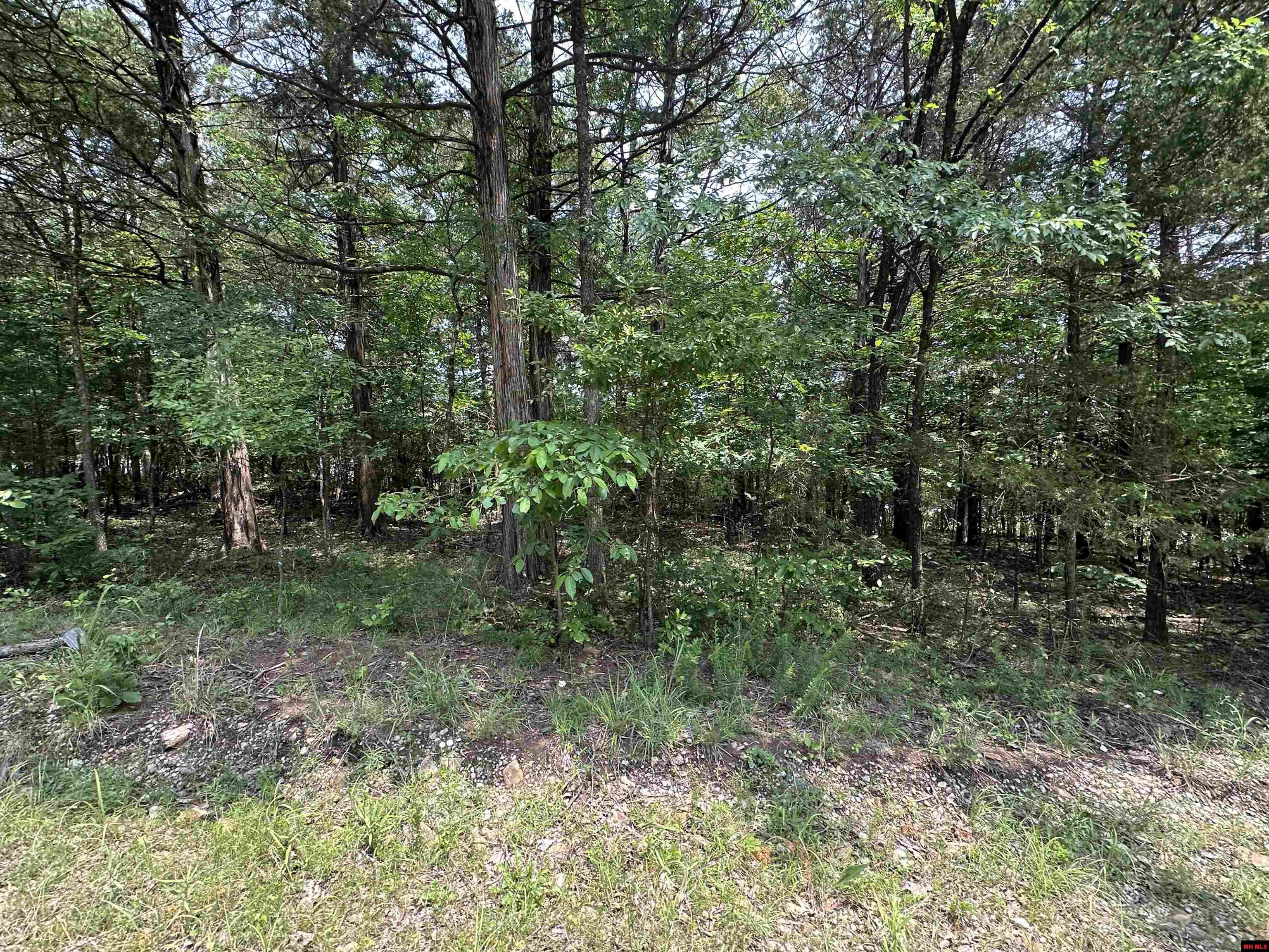 775-00832-000 Somonauk Drive