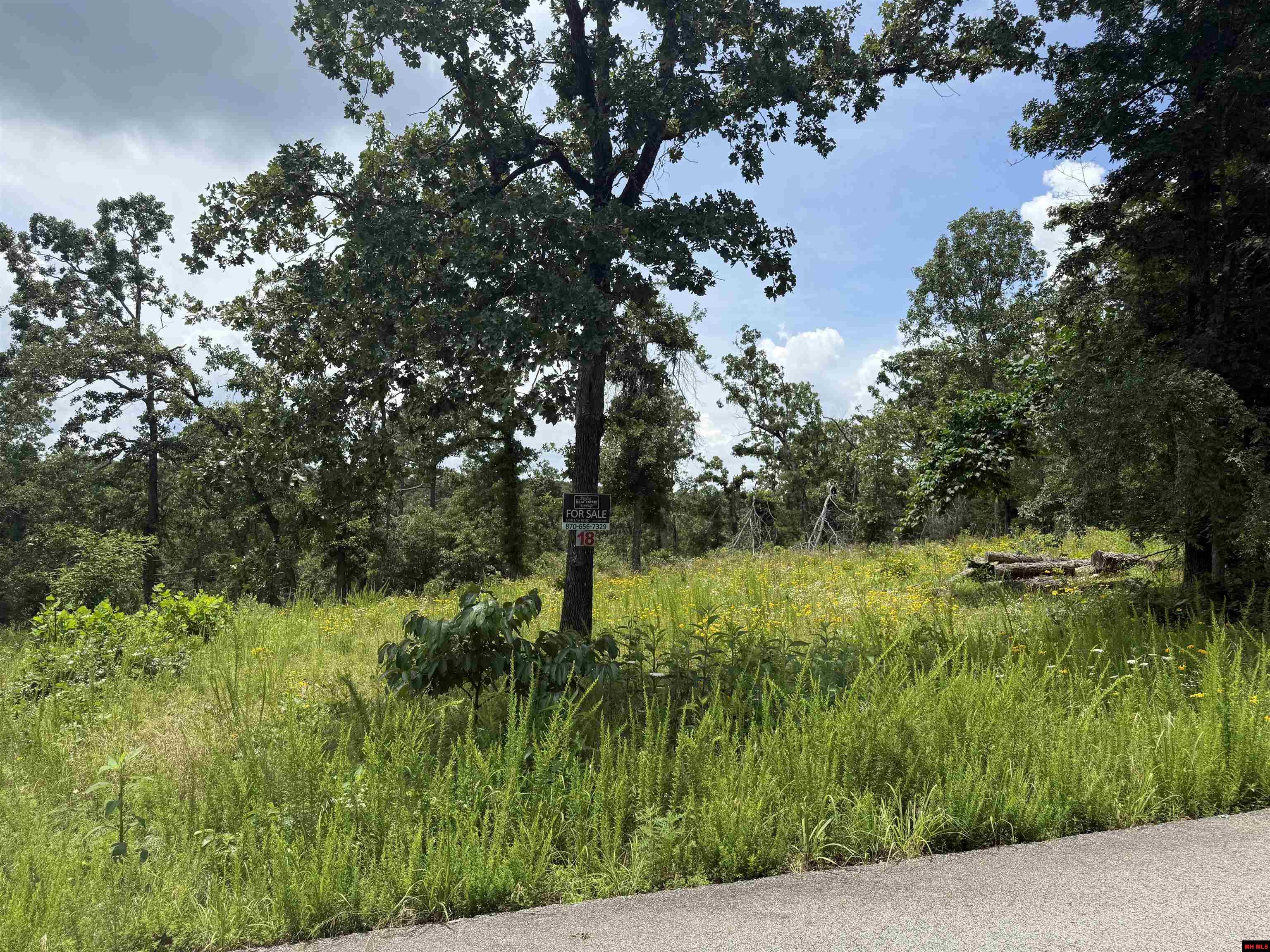 Lot 18 Rustic Ridge Drive