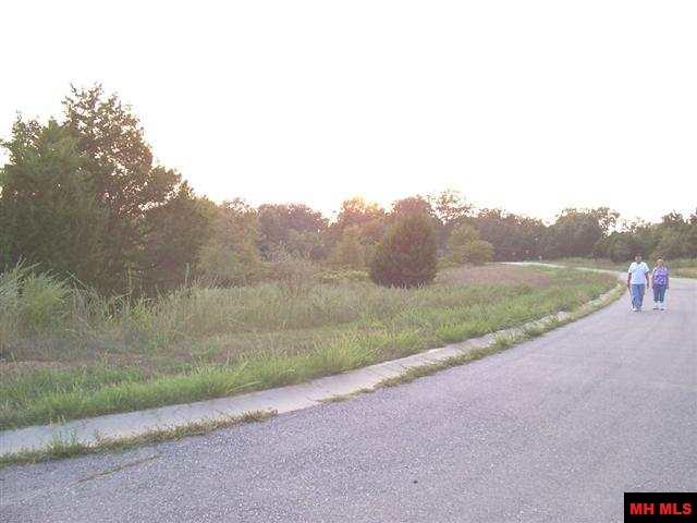 760 25327 000 Springflower Street