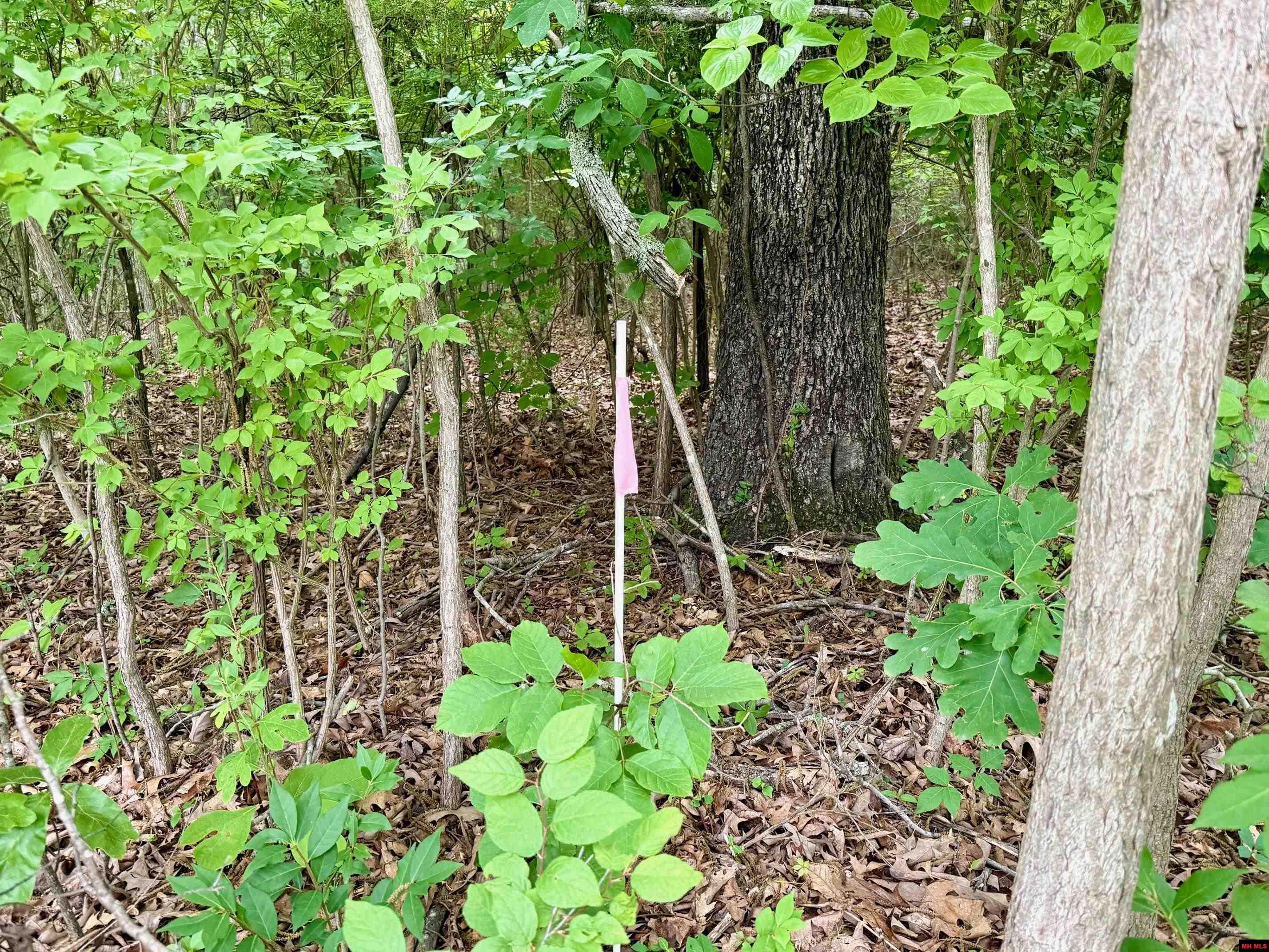 2236 Central Boulevard