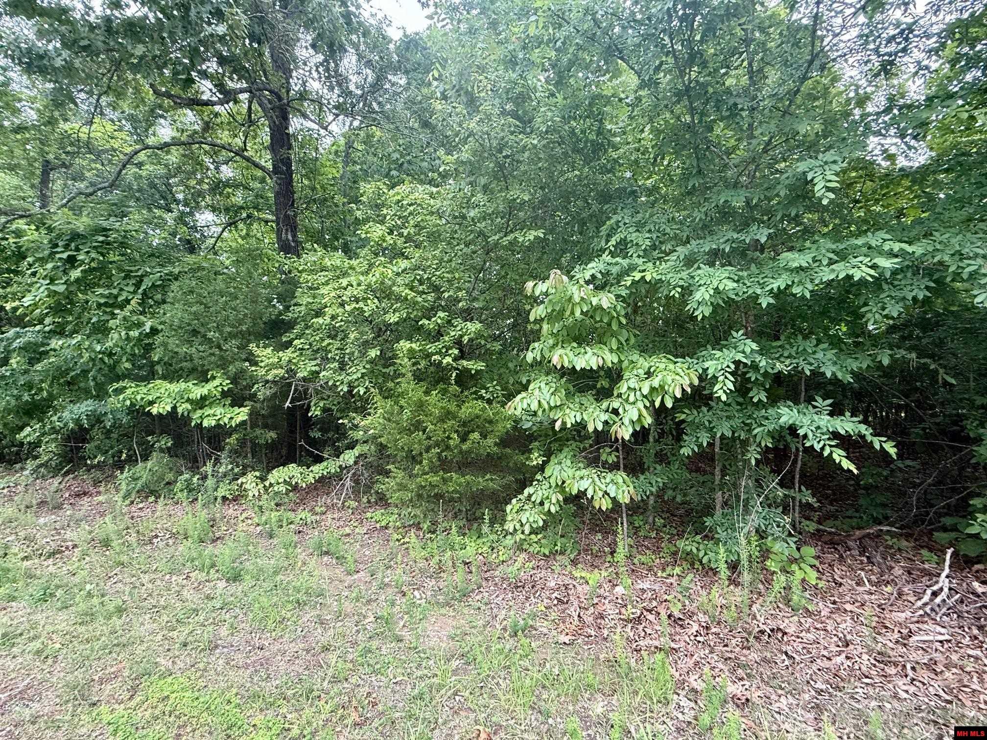 2236 Central Boulevard