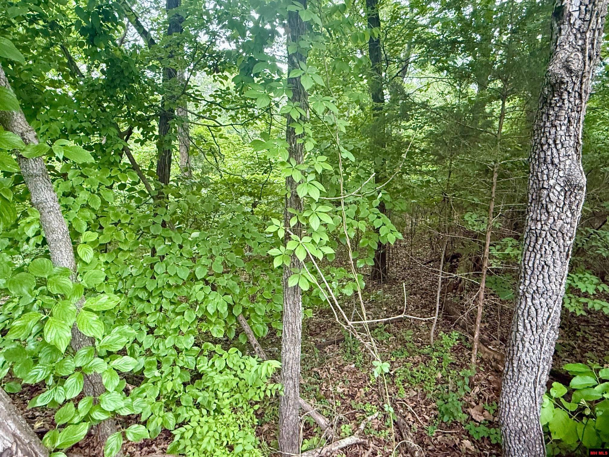 2236 Central Boulevard