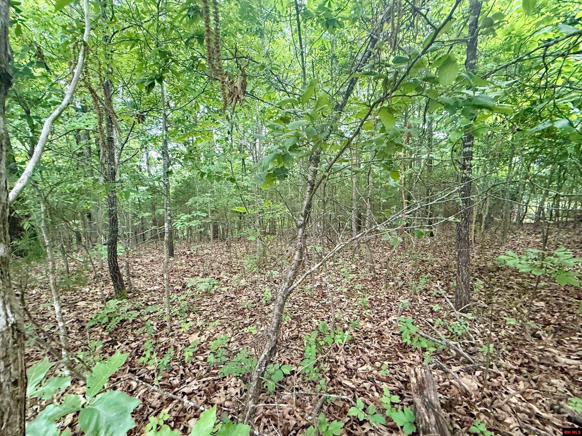 2236 Central Boulevard