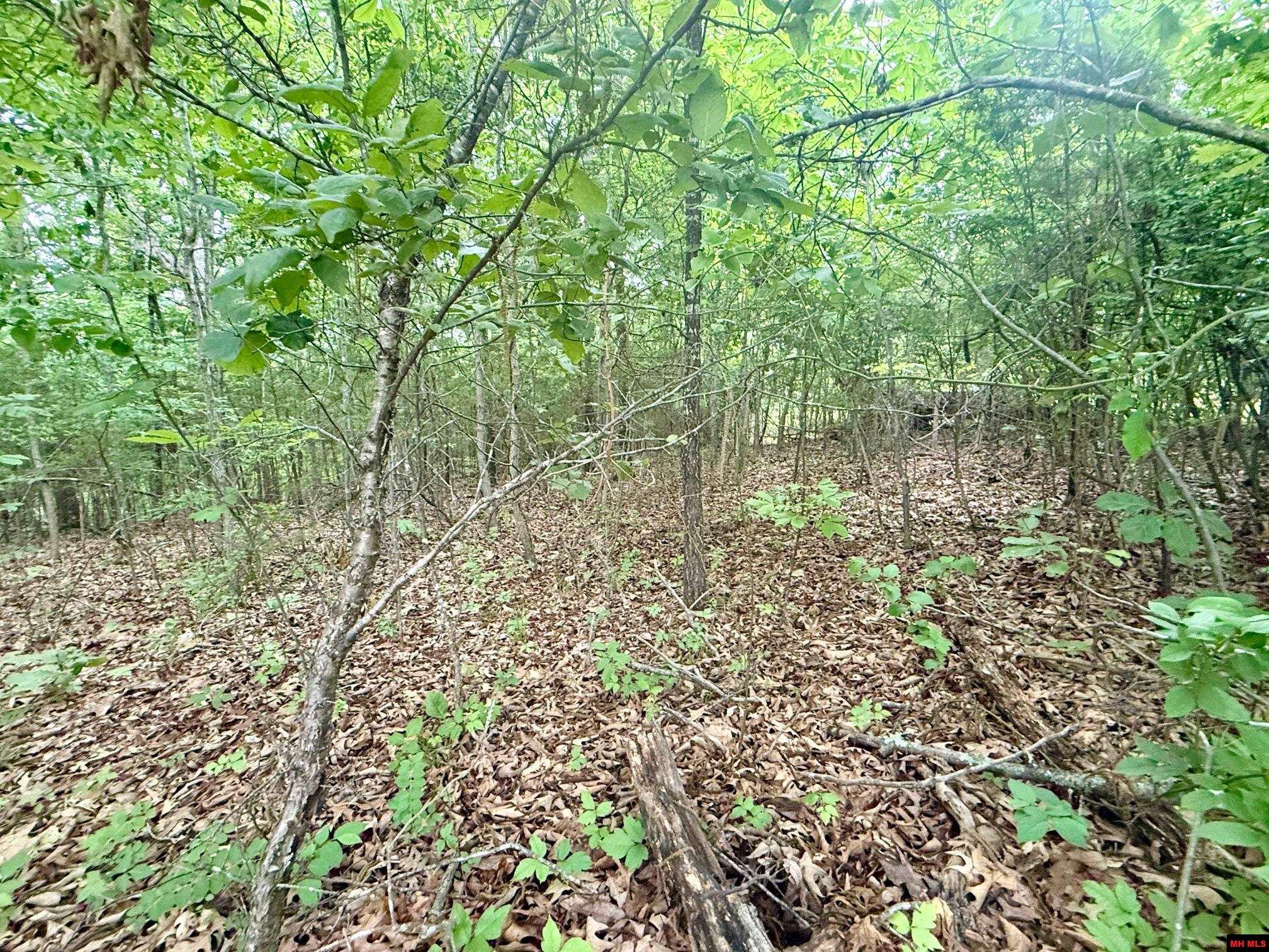 2236 Central Boulevard