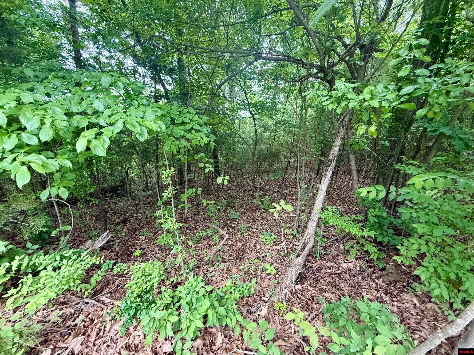 2236 Central Boulevard