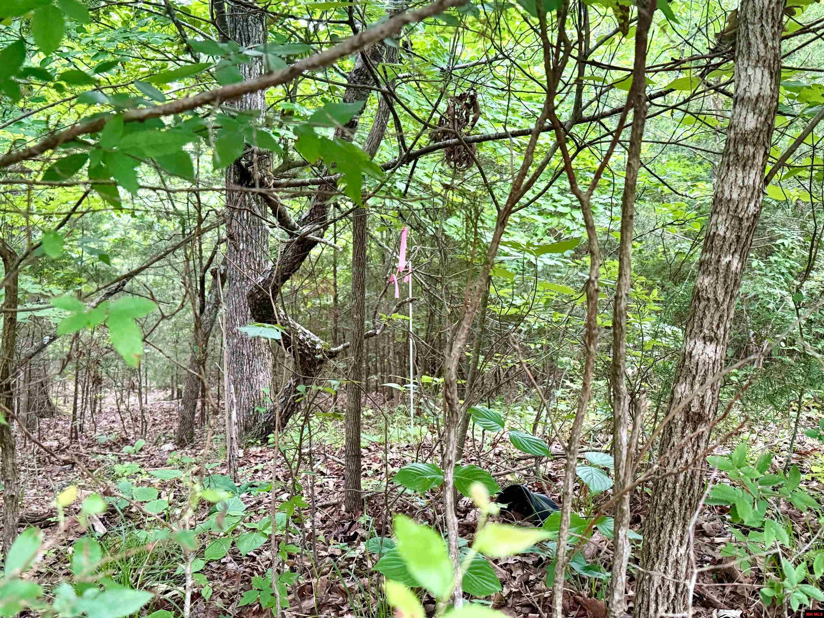 2236 Central Boulevard