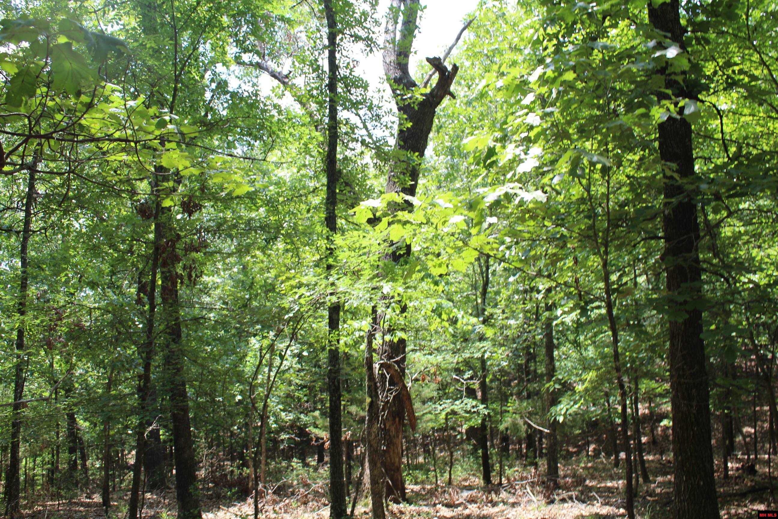 Lot 9b Country Club Drive