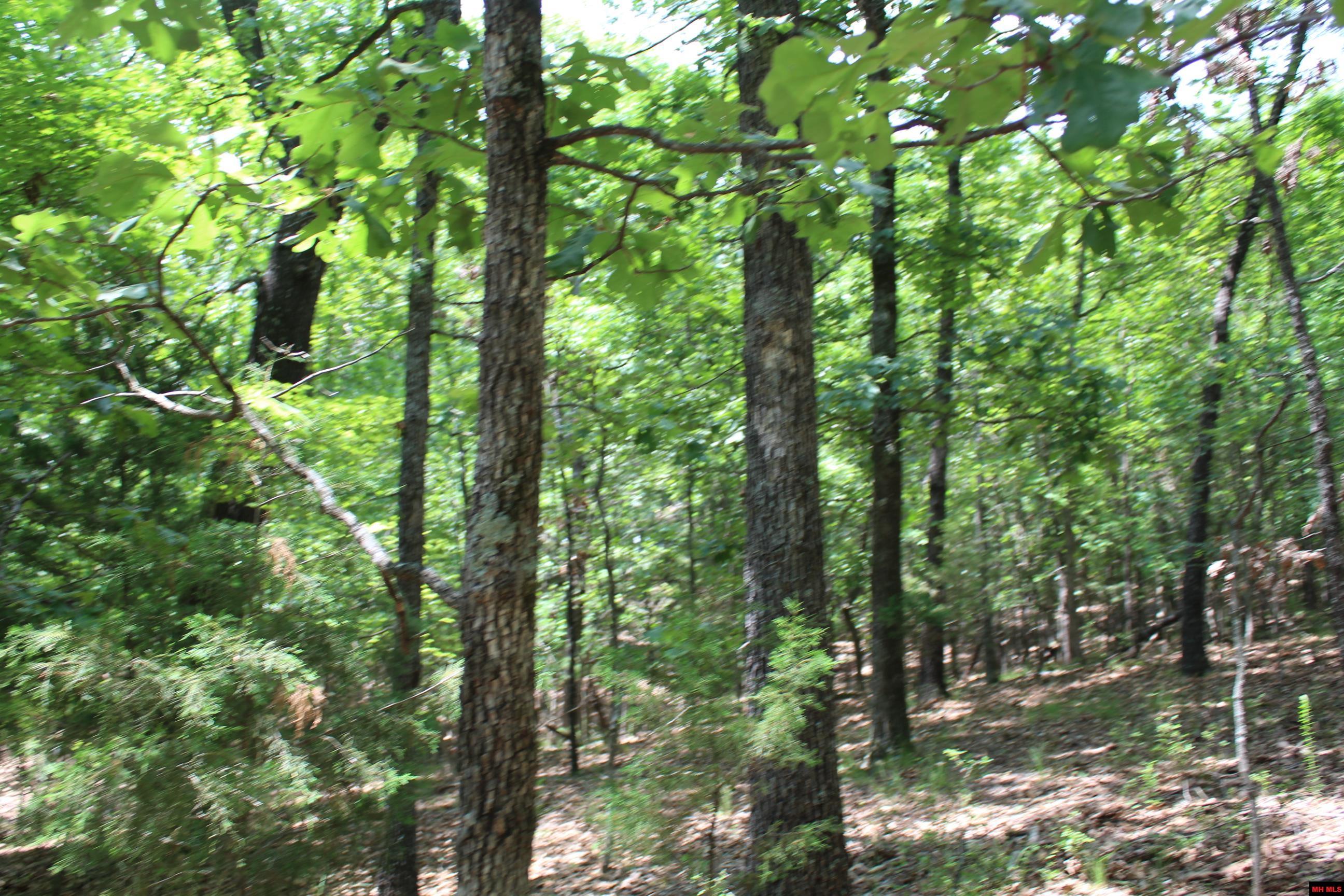 Lot 51 Oak Ridge Drive