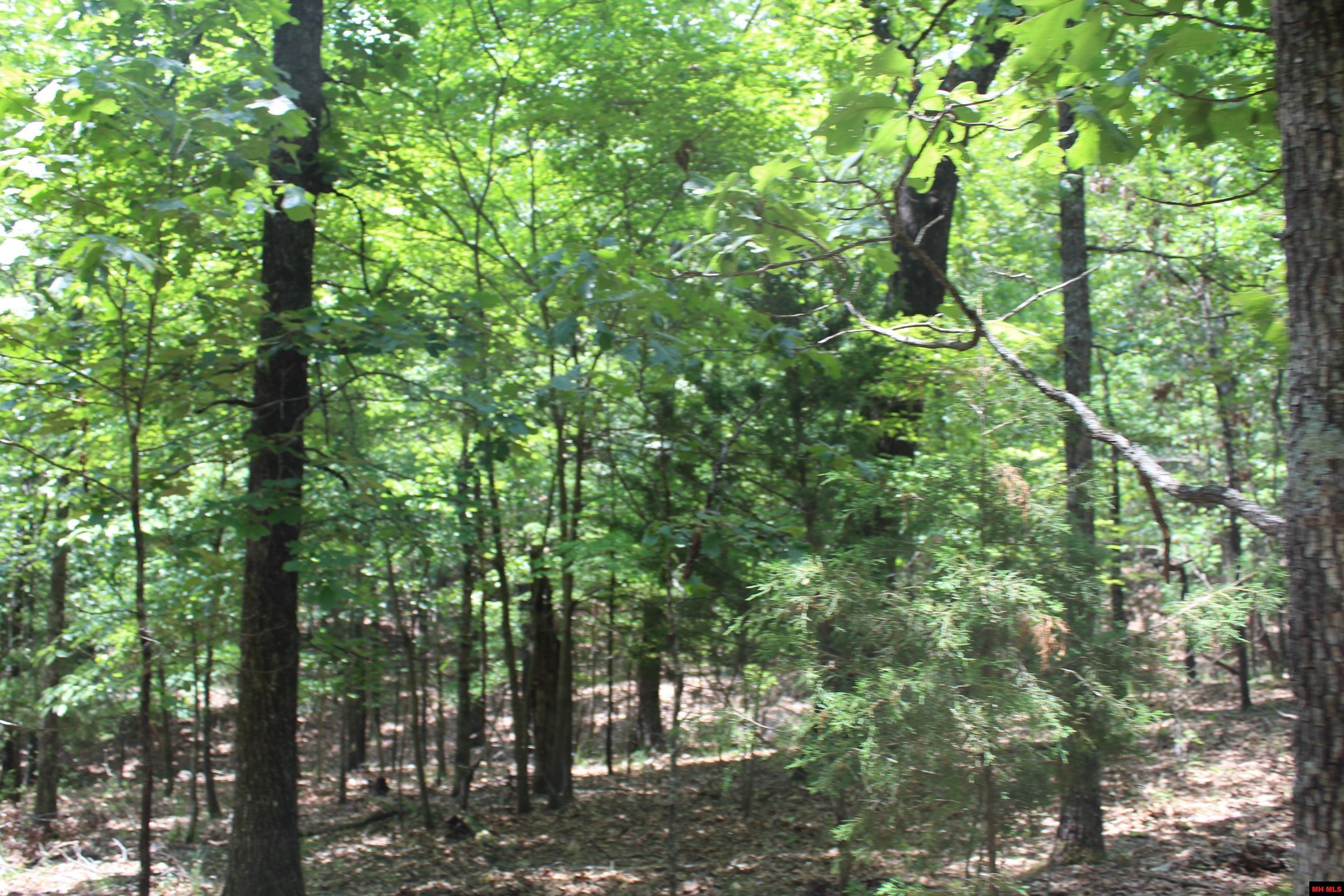 Lot 51 Oak Ridge Drive