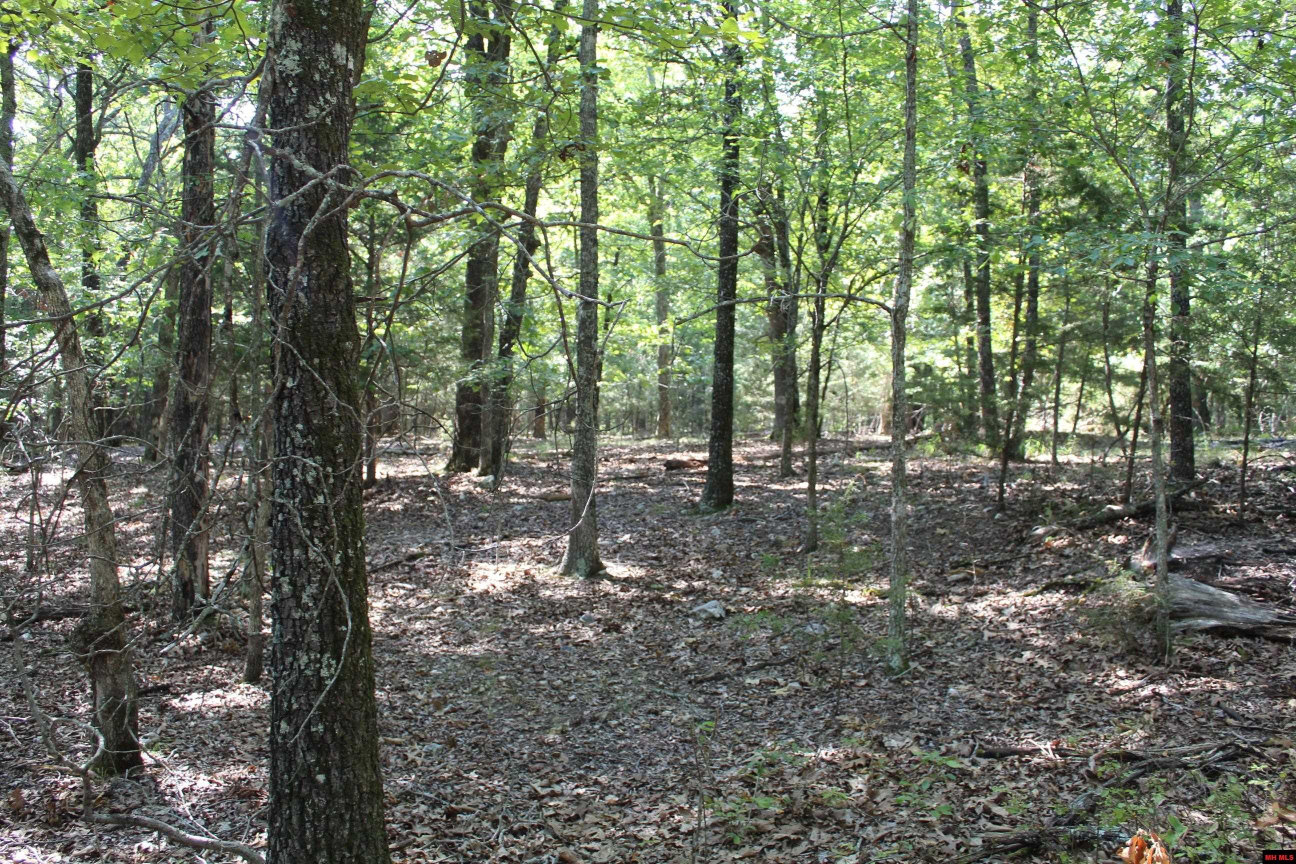 Lot 51 Oak Ridge Drive