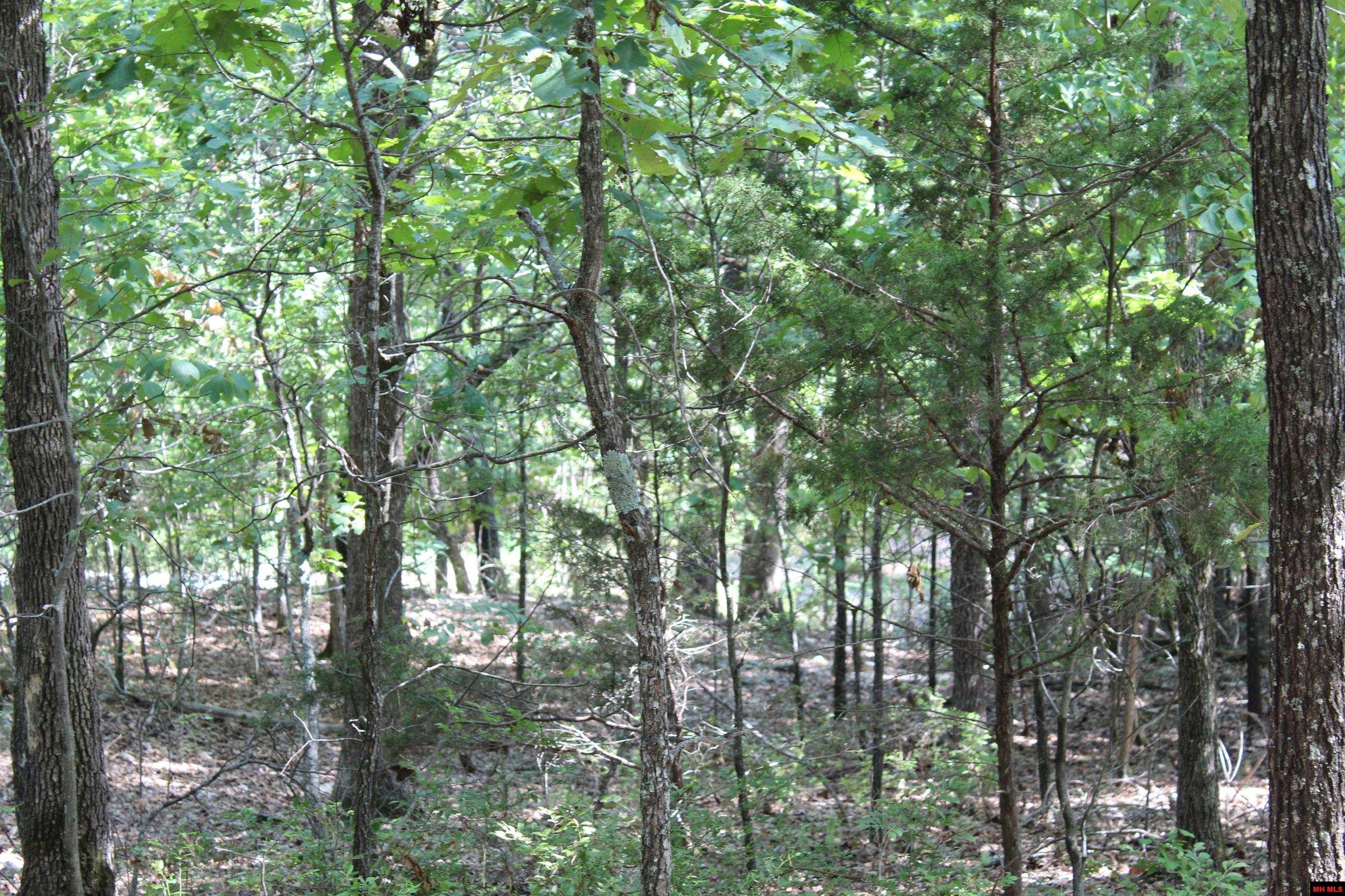 Lot 51 Oak Ridge Drive