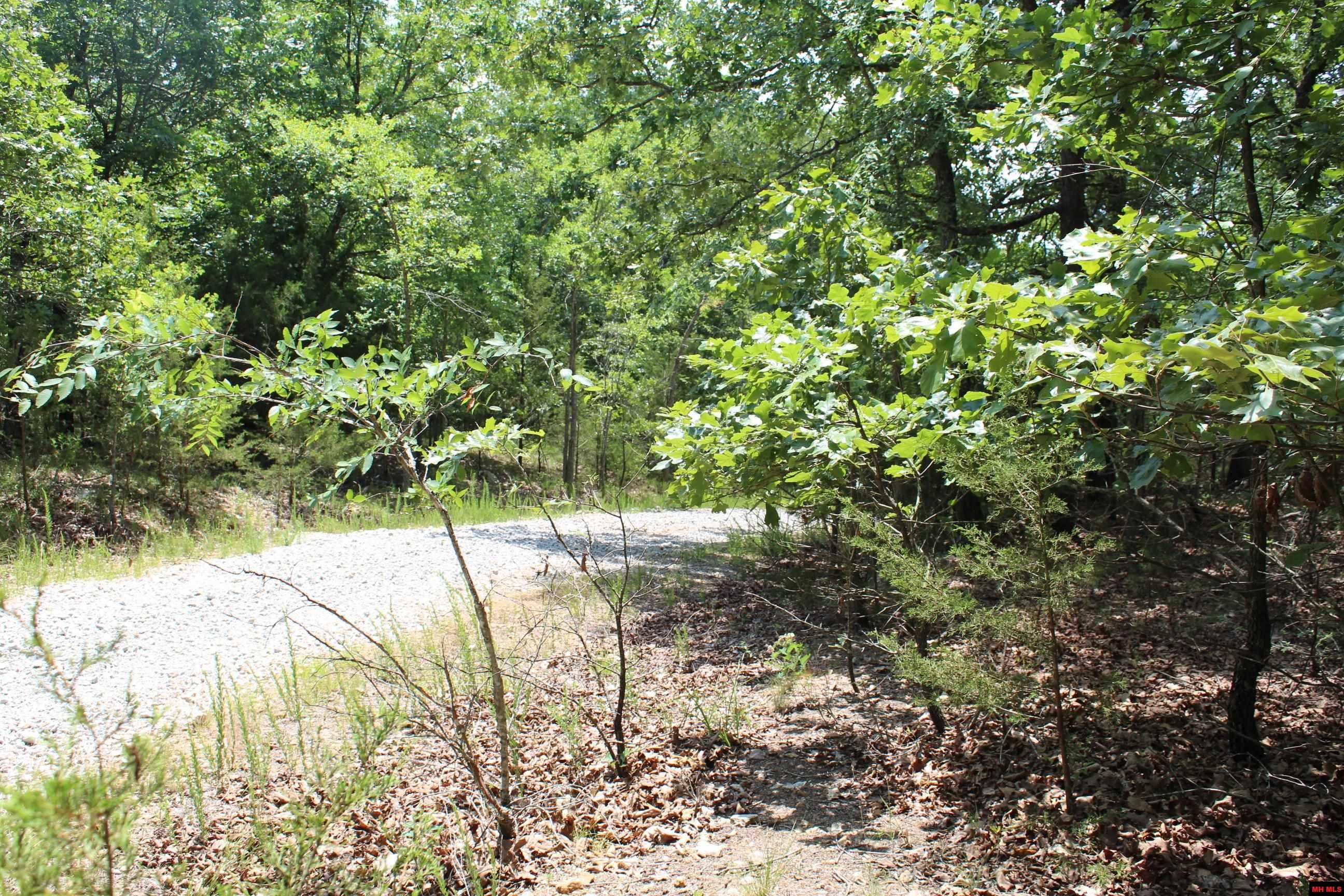 356-00041-000 Lakeshore Drive