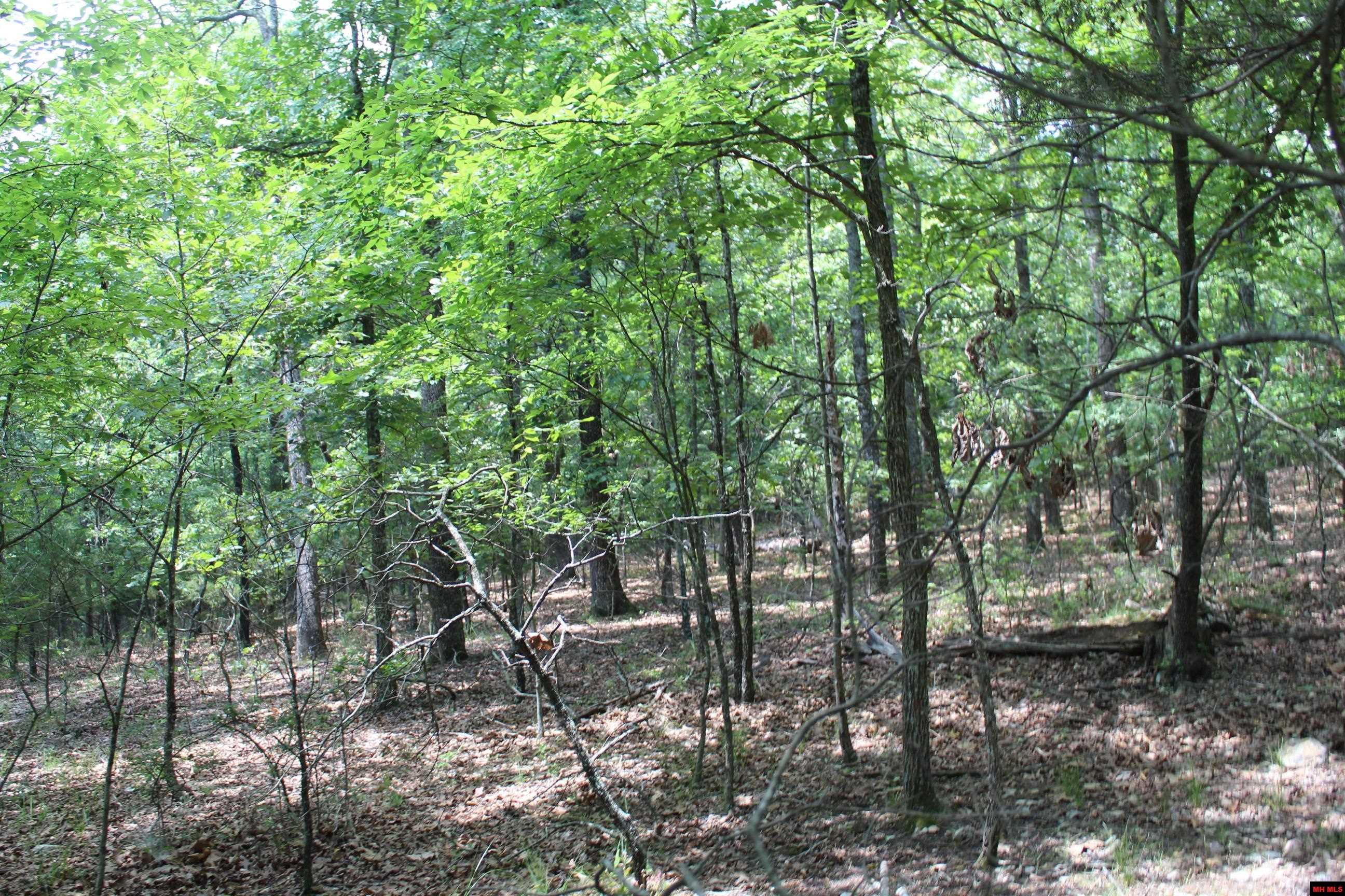 356-00041-000 Lakeshore Drive