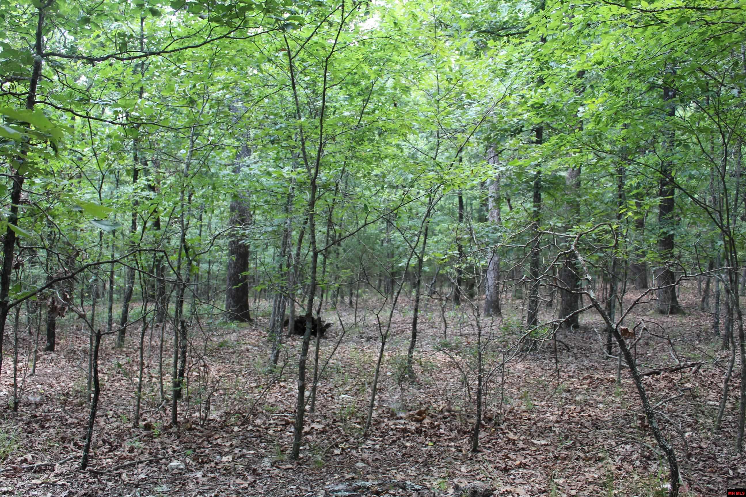 356-00041-000 Lakeshore Drive