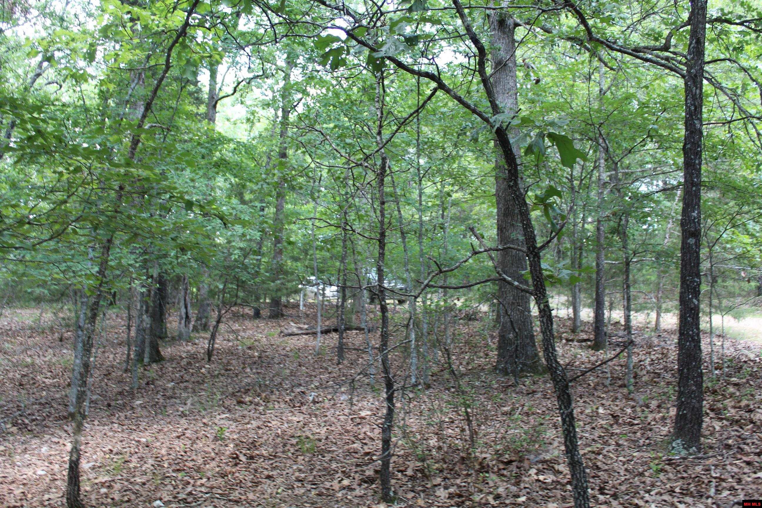 356-00041-000 Lakeshore Drive