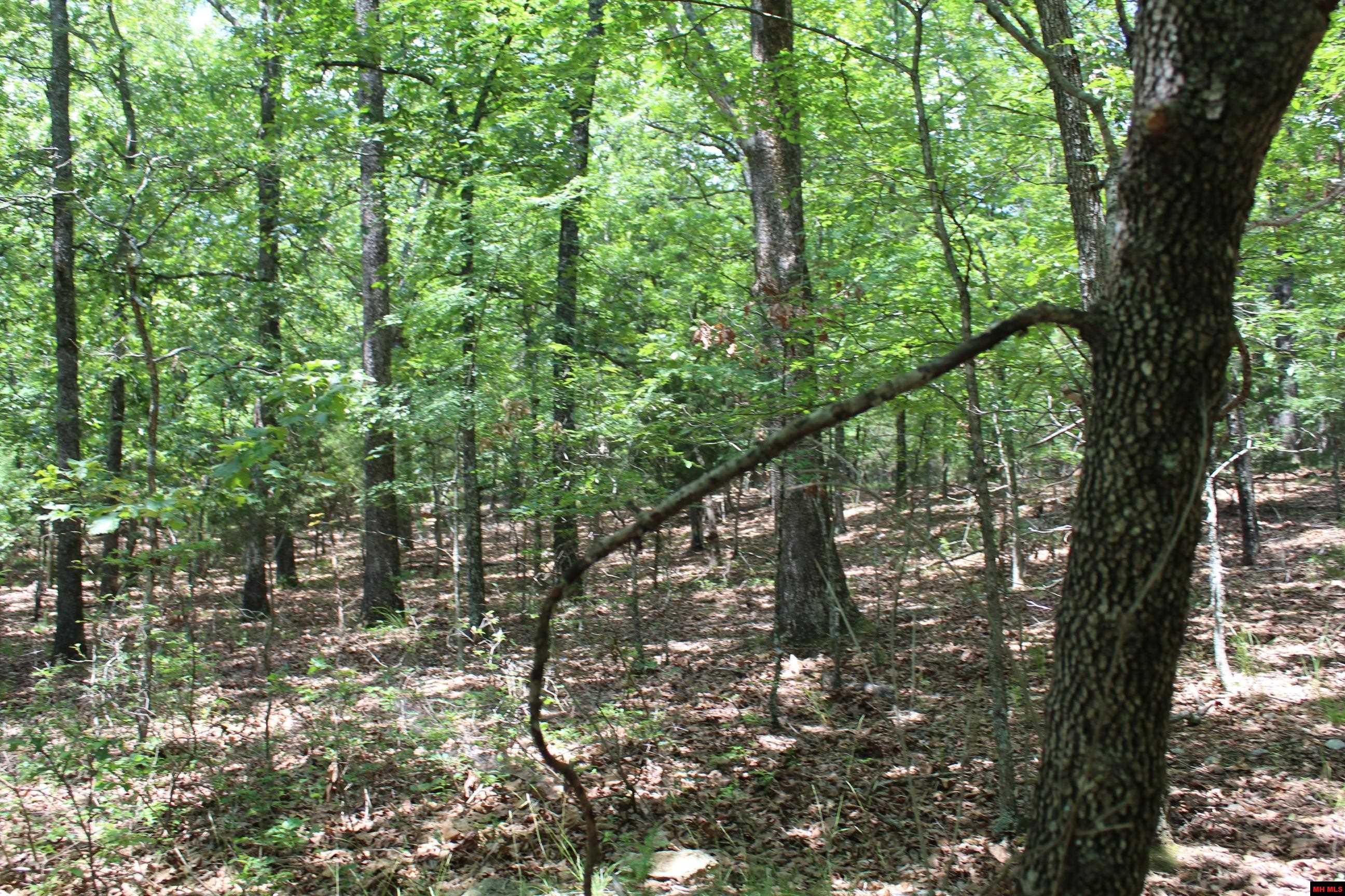 356-00041-000 Lakeshore Drive