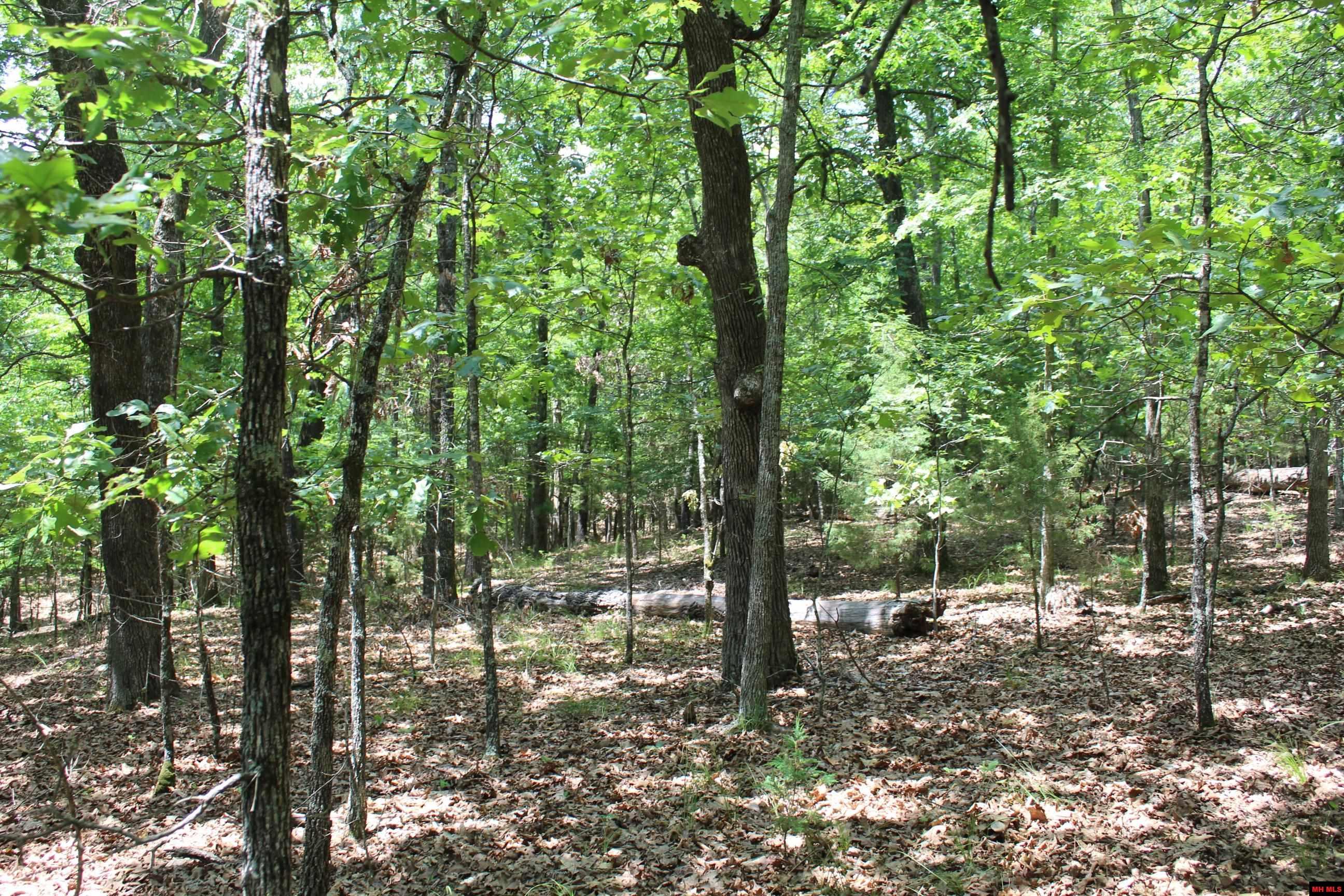 356-00041-000 Lakeshore Drive