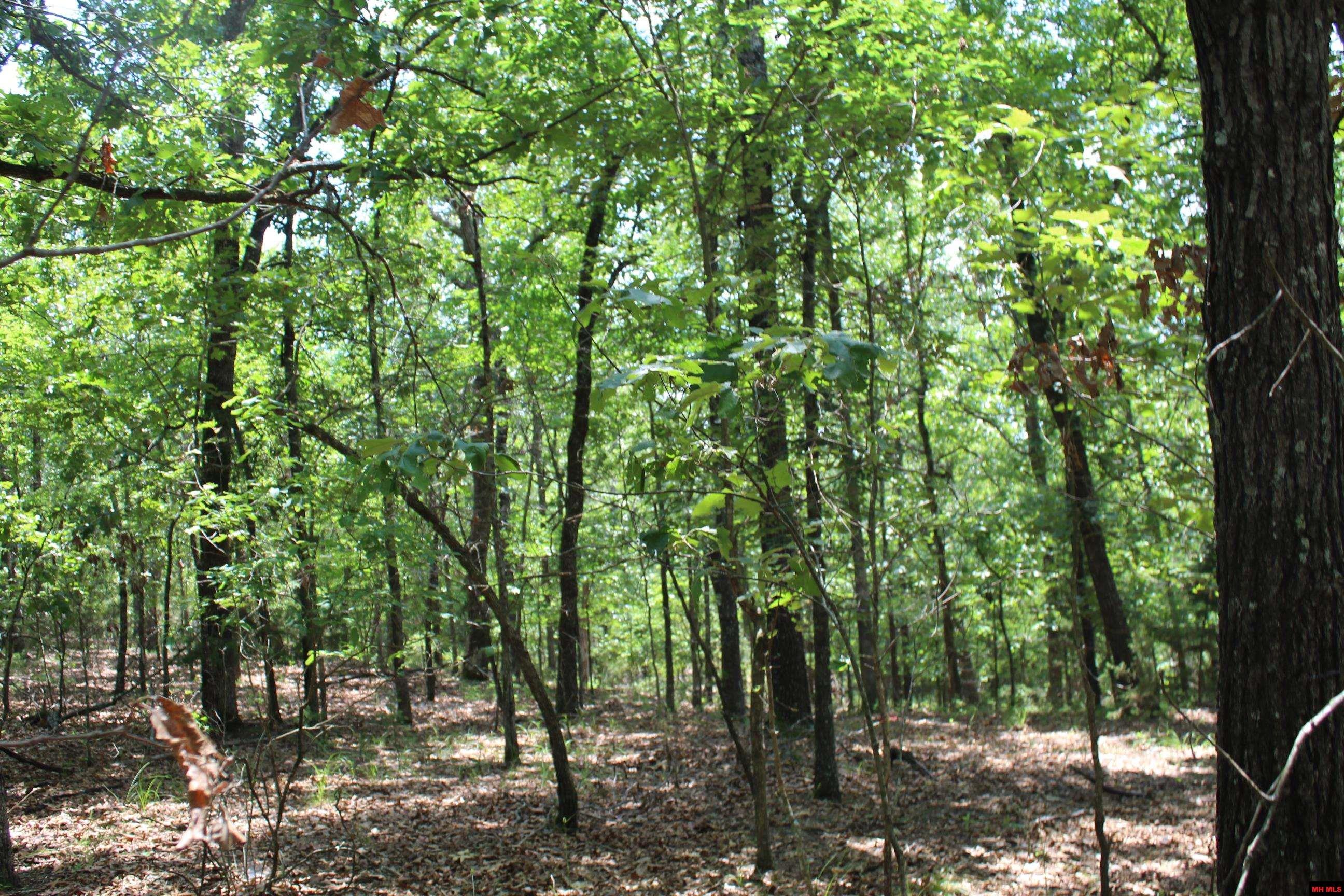 356-00041-000 Lakeshore Drive