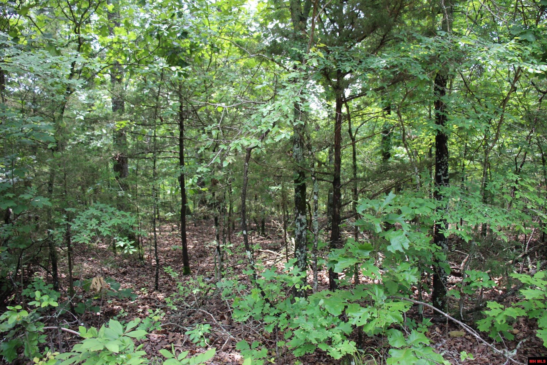 001-05713-003 Mc 8094