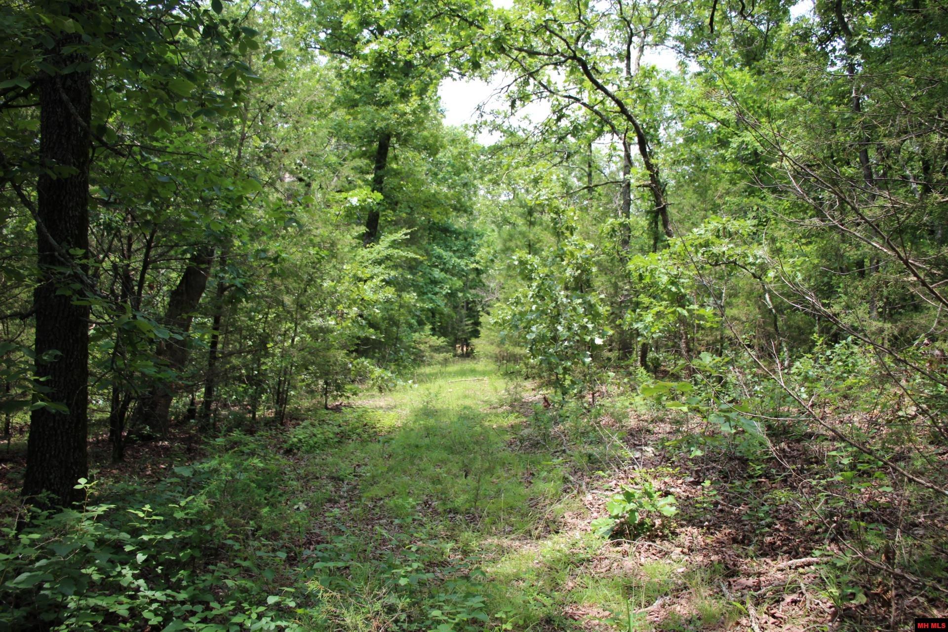 001-05713-003 Mc 8094