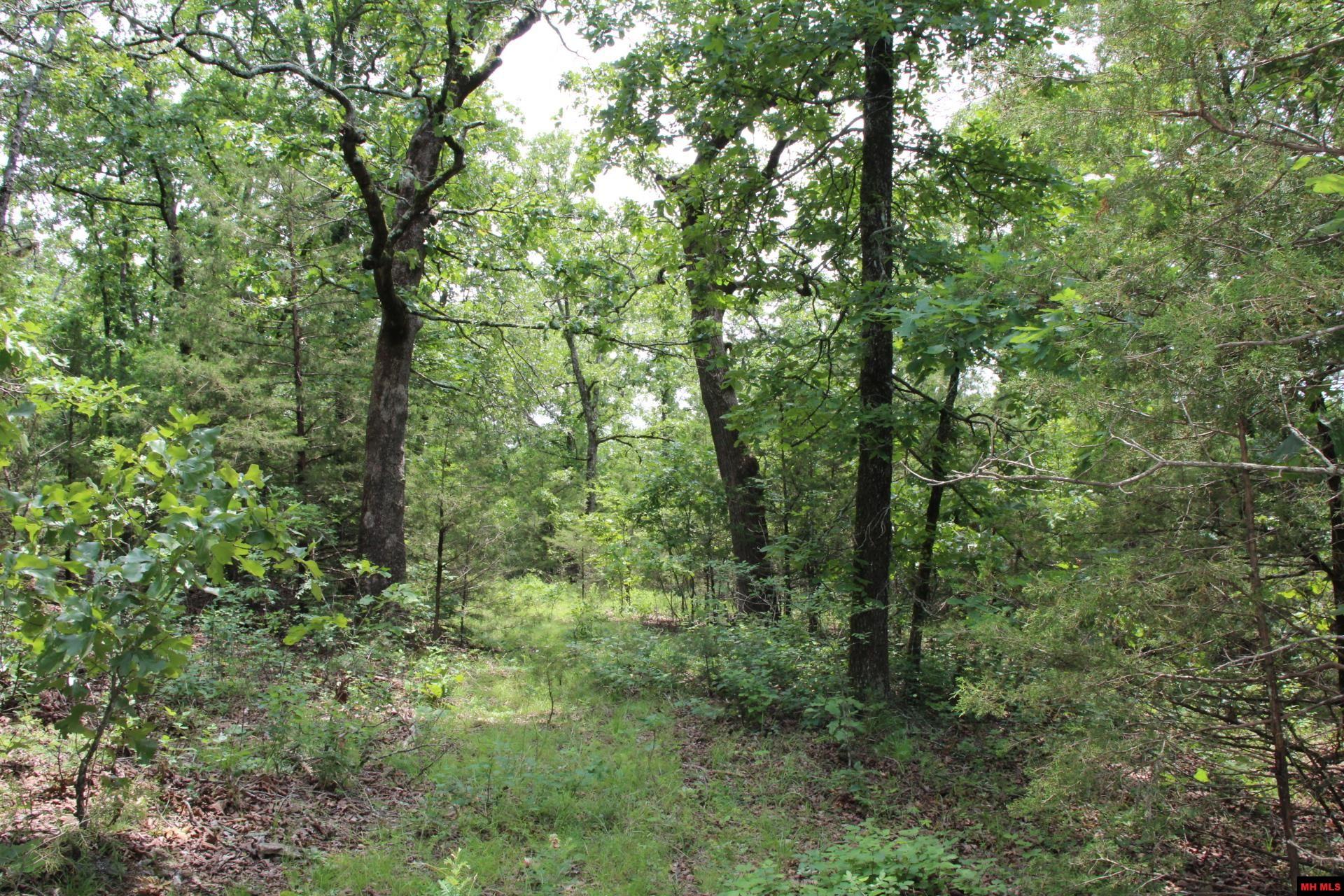 001-05713-003 Mc 8094