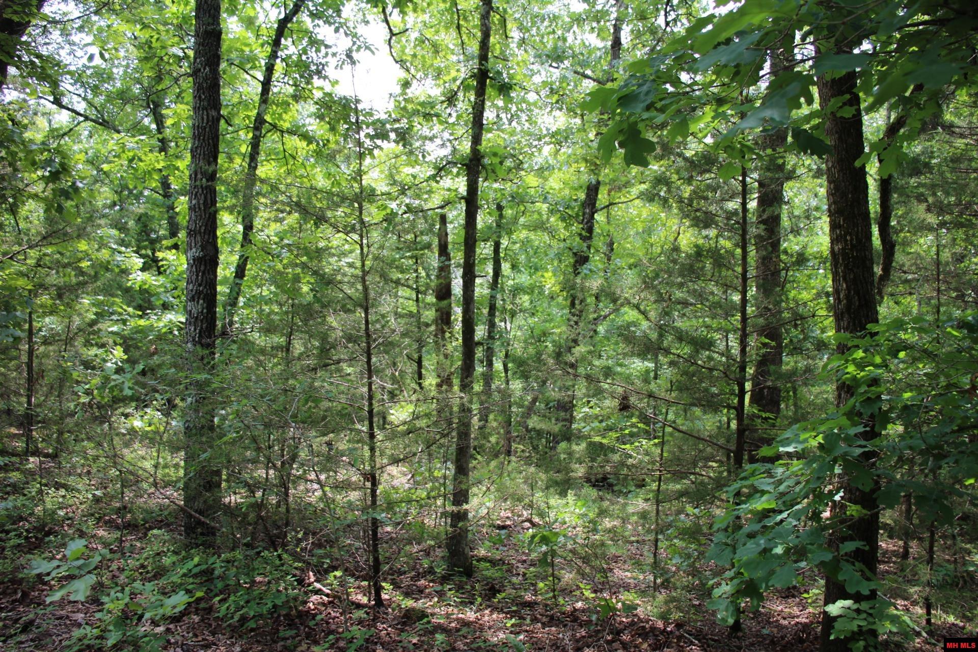 001-05713-003 Mc 8094