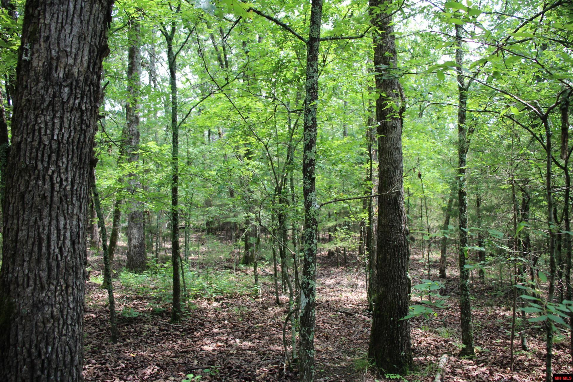 001-05713-003 Mc 8094