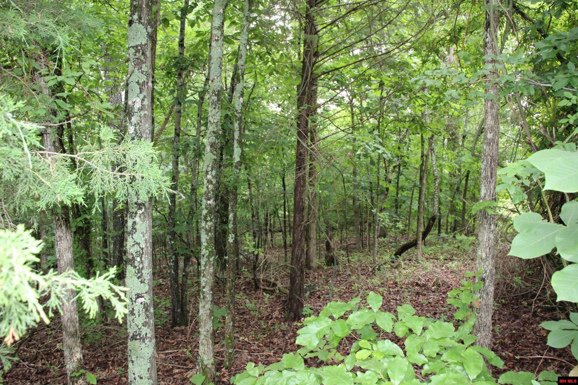 001-09520-000 Hwy 178