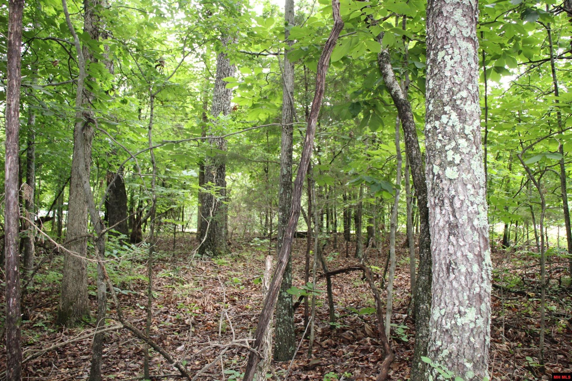 001-09520-000 Hwy 178