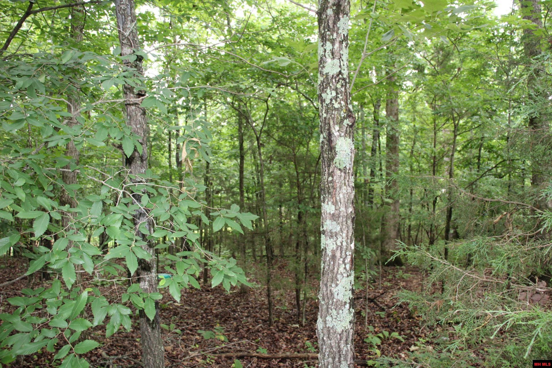 001-09520-000 Hwy 178