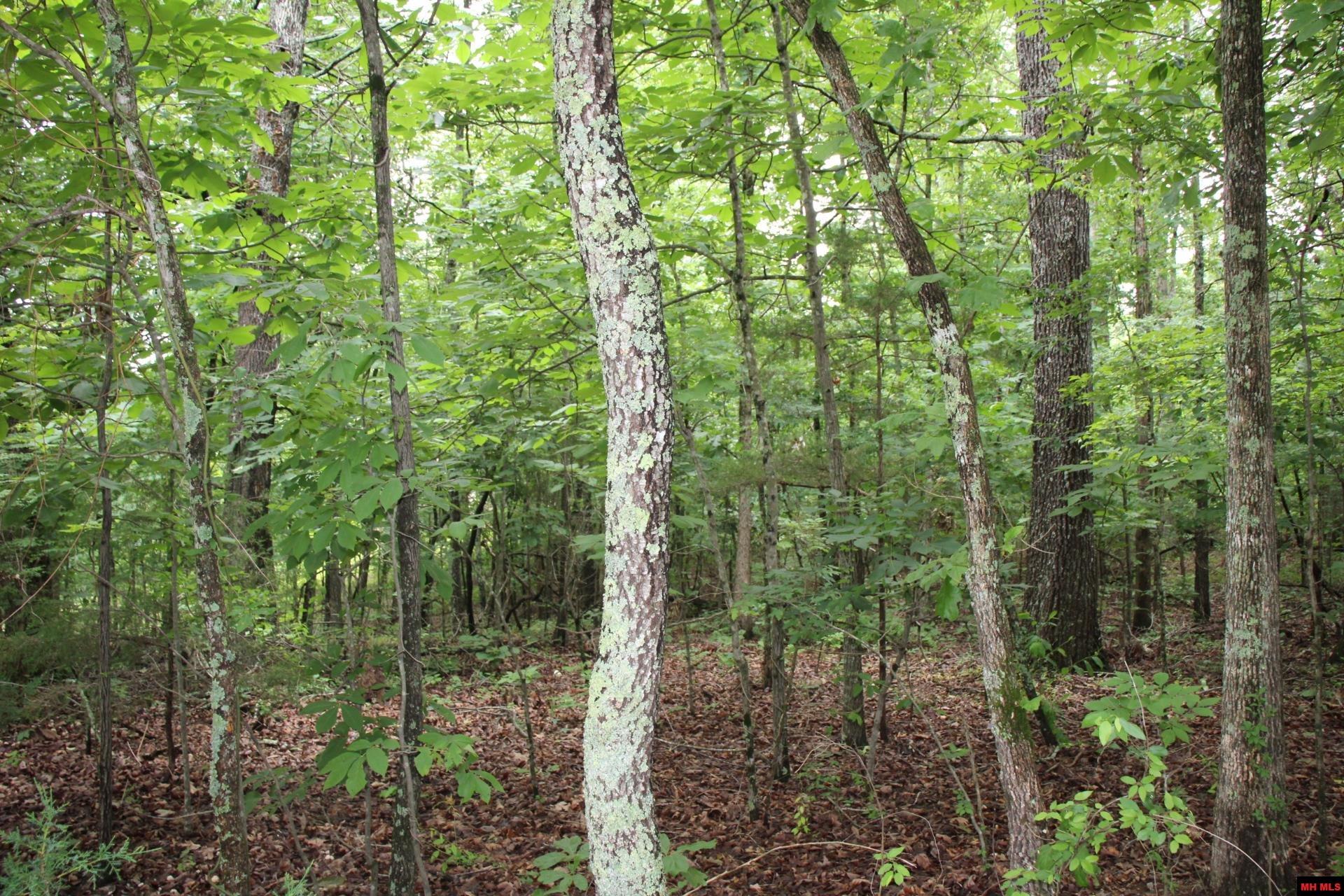 001-09520-000 Hwy 178