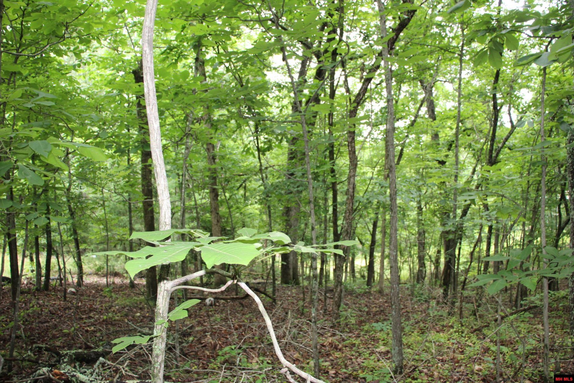 001-09520-000 Hwy 178