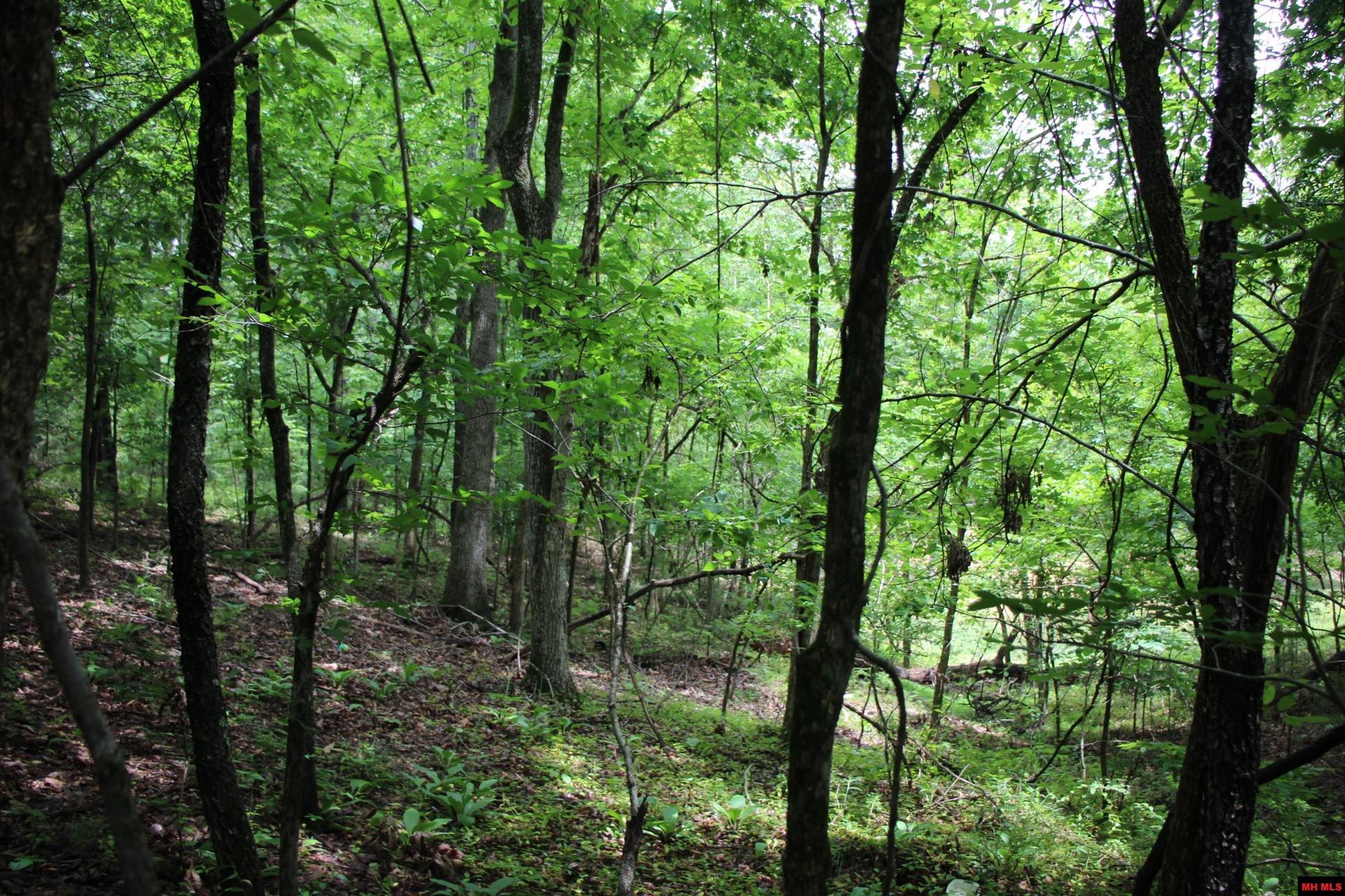 001-09520-000 Hwy 178