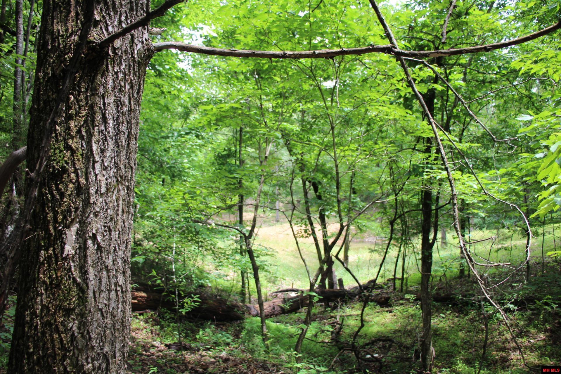 001-09520-000 Hwy 178