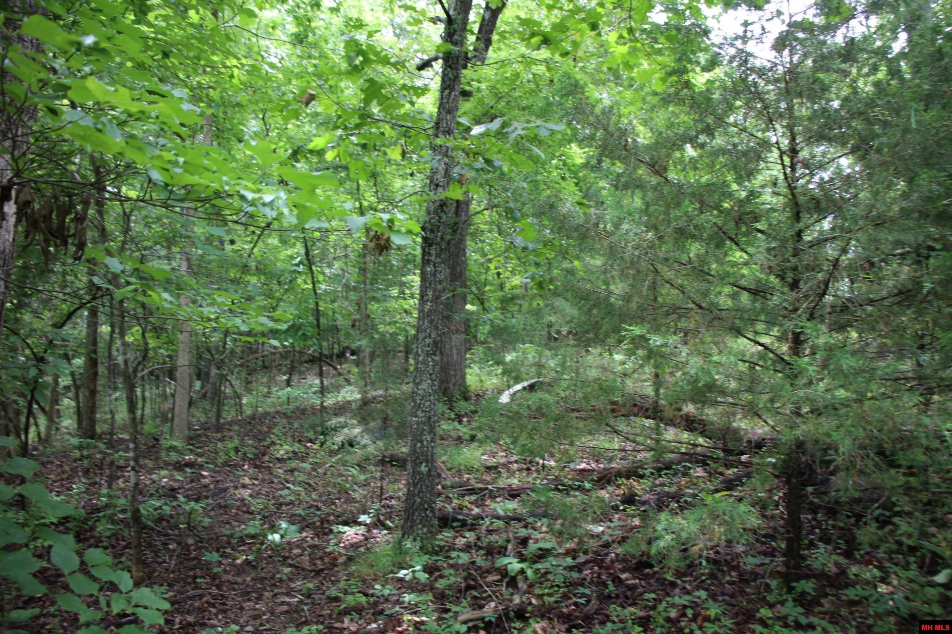 001-09520-000 Hwy 178