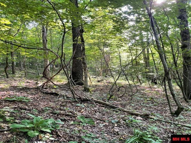 6518 Tomahawk Church Road