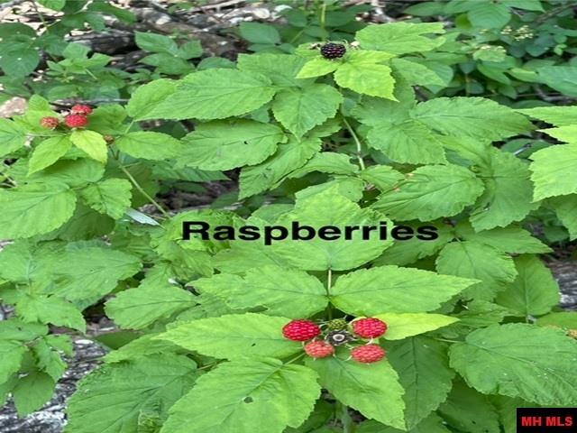 6518 Tomahawk Church Road