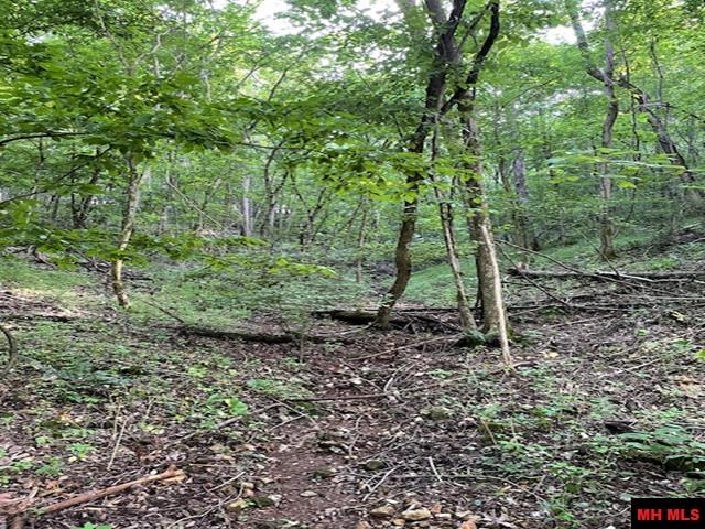 6518 Tomahawk Church Road