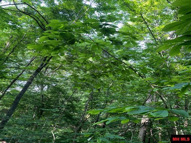 6518 Tomahawk Church Road