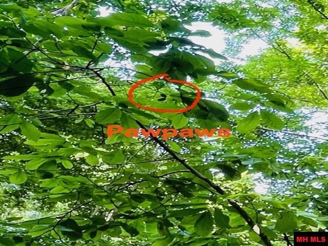 6518 Tomahawk Church Road