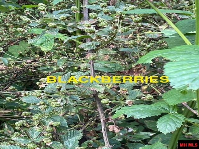 6518 Tomahawk Church Road