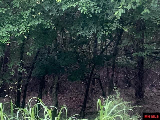 605-00020-000 Mc 8020