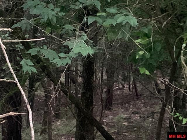 605-00020-000 Mc 8020