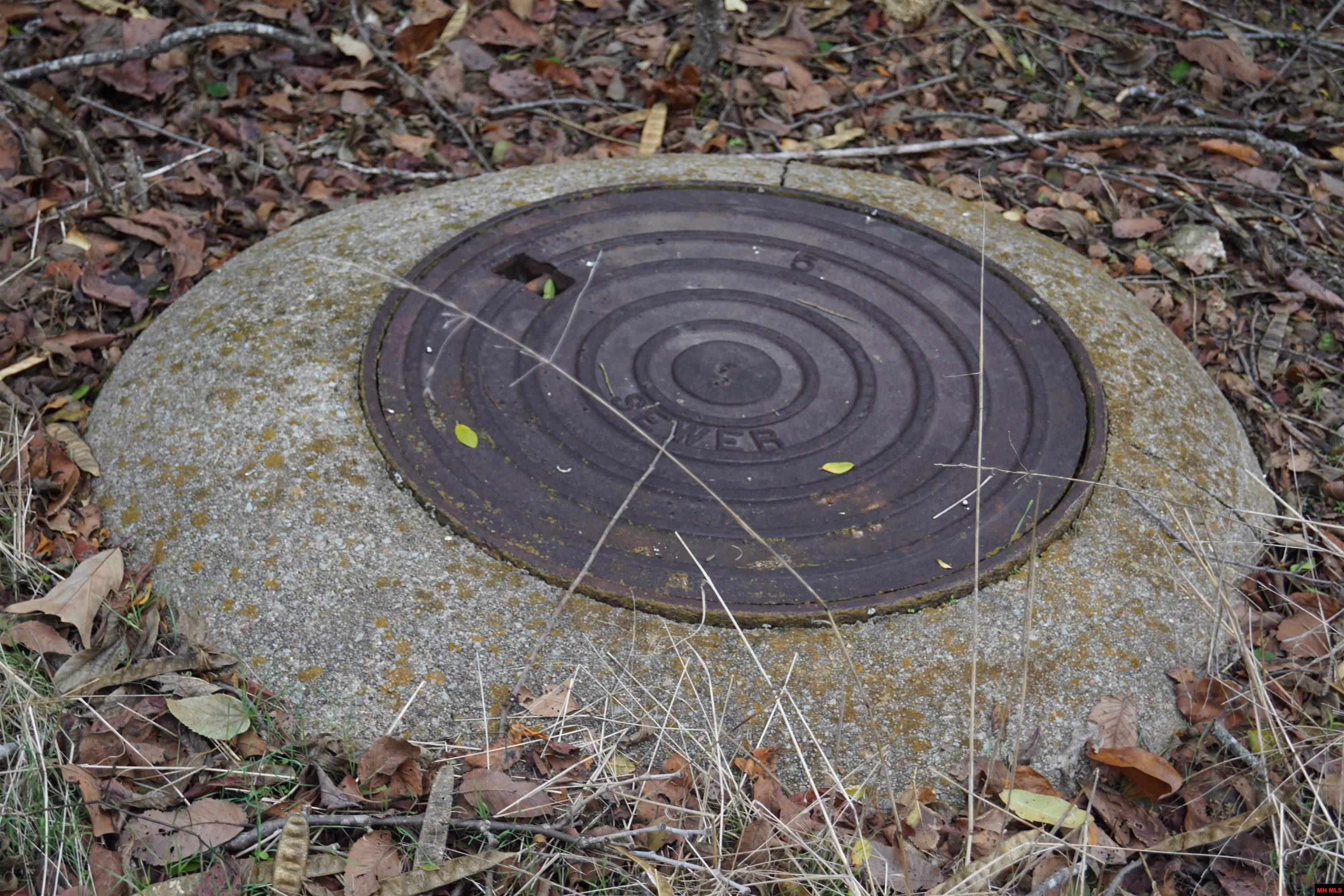 1177 HWY 62 Cotter, AR