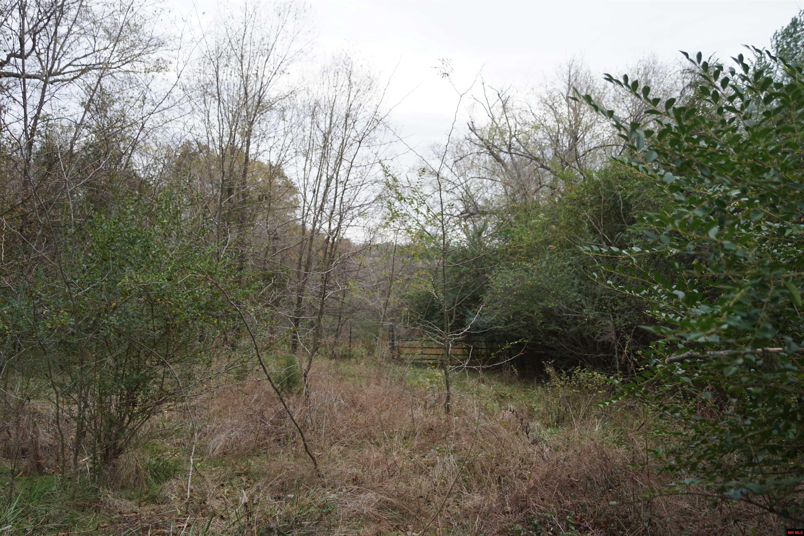 1177 HWY 62 Cotter, AR