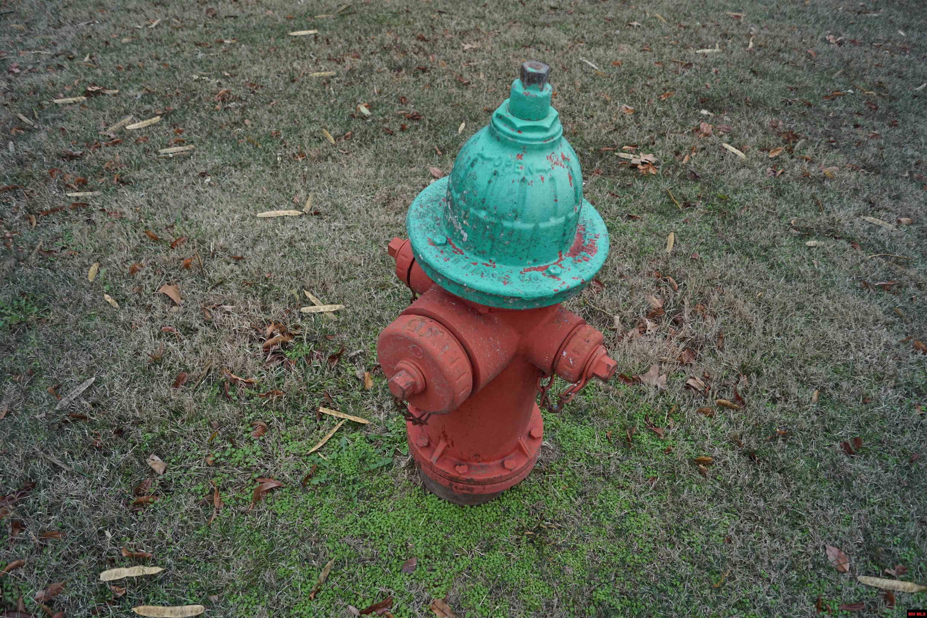 1177 HWY 62 Cotter, AR