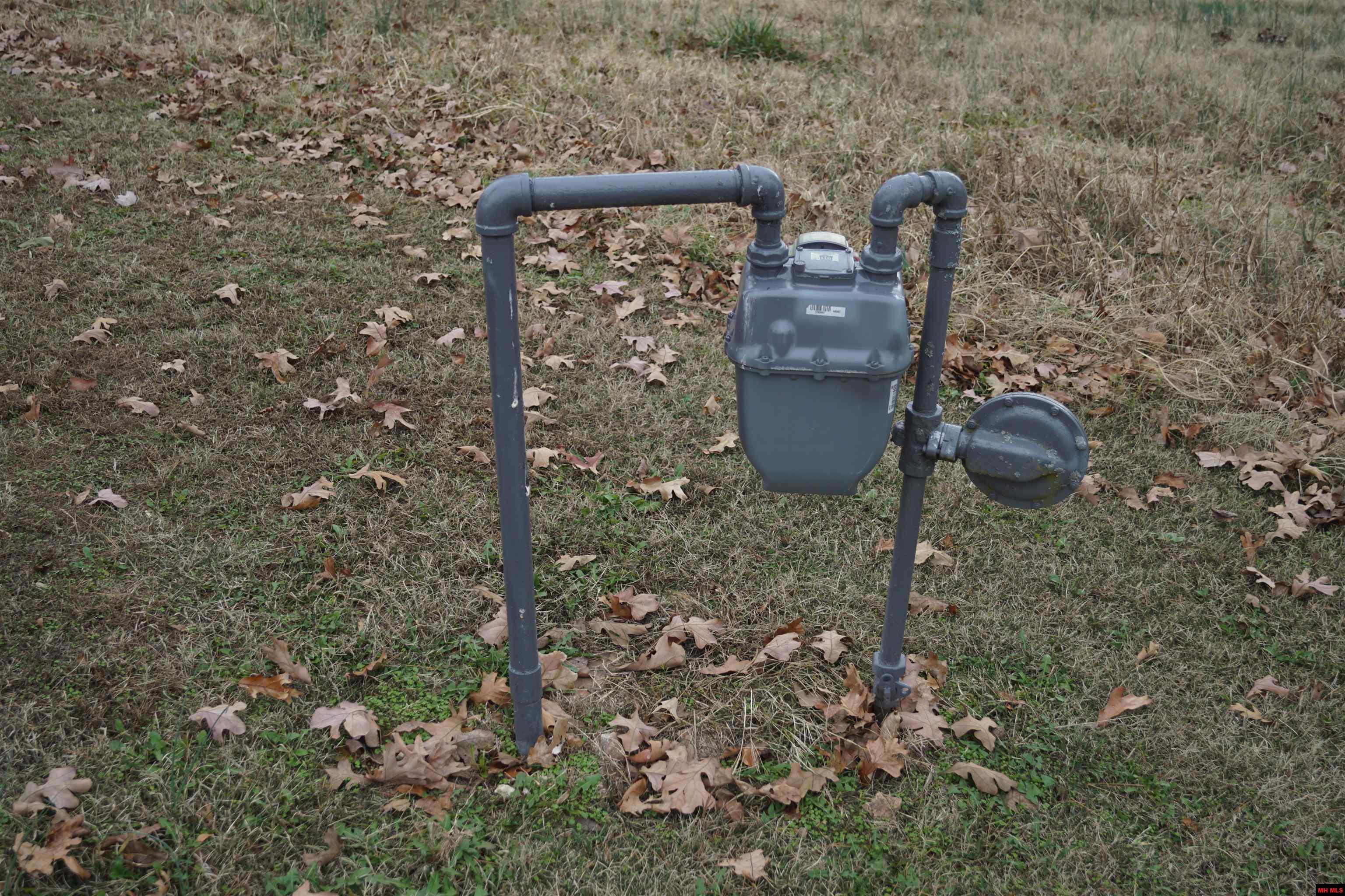 1177 HWY 62 Cotter, AR