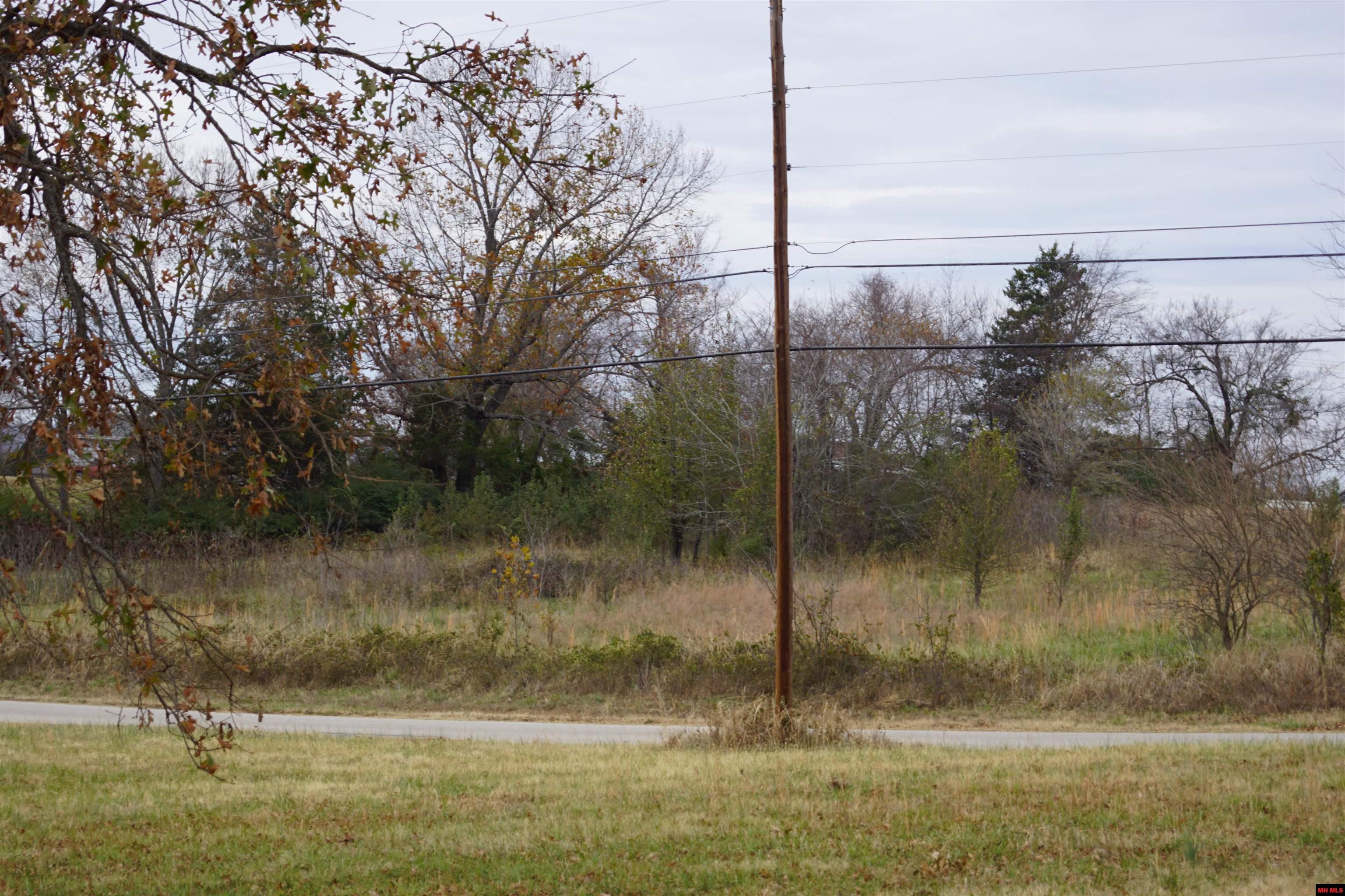 1177 HWY 62 Cotter, AR