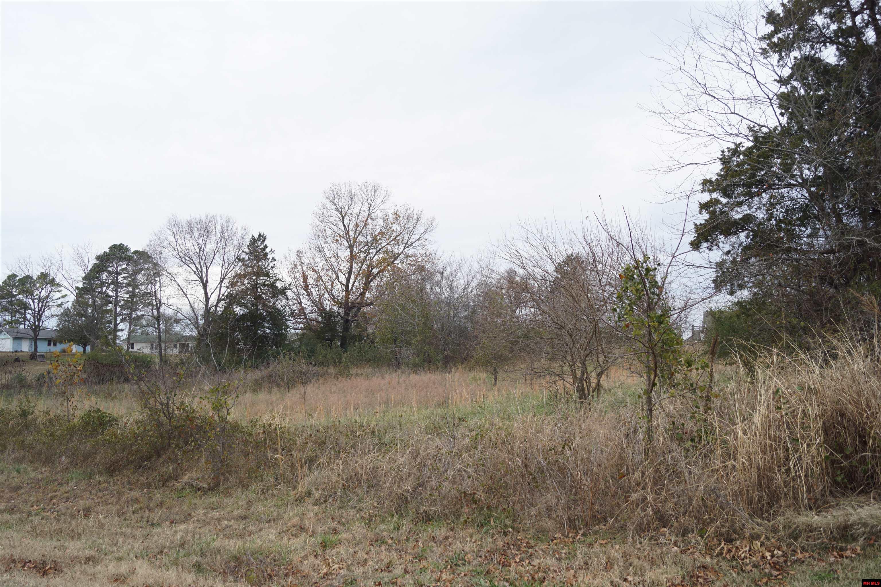 1177 HWY 62 Cotter, AR